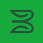BSP