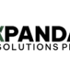 Panda Solution PNG